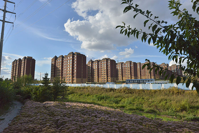 2013年宇軒嘉園.jpg